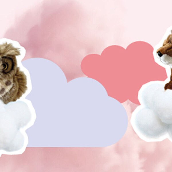 Eine Kuscheltier-Eule und ein Kuscheltier-Fuchs auf einer Wolke - umgeben von rosa Wolken