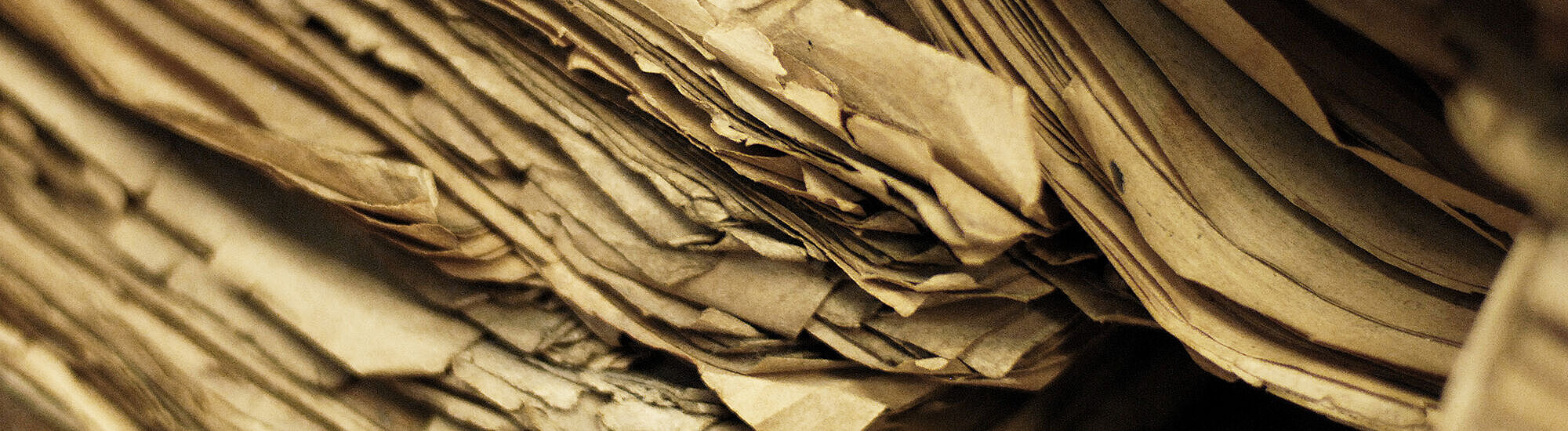 SERV DASA NL 2000x1000 vergilbtes Papier in einem Buch