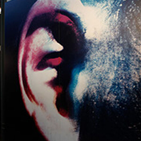 Abbildung eines Ohrs in der Abteilung zum Lärm in der DASA